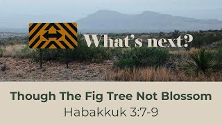 Though The Fig Tree Not Blossom - Dato' Dennis Ignatius