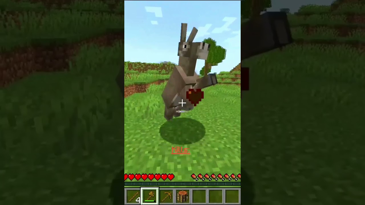 Minecraft But Everytime You Kill A Random Mob Spawns... 