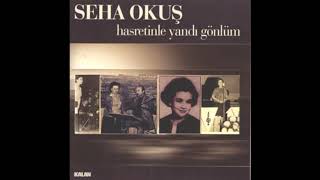 Seha Okuş - hasretinle yandı gönlüm Resimi