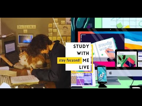 STUDY WITH ME 📖 ️IN LIVE📚🎥↗️ STUDY EXPRESS 🚂📚🇧🇩 - YouTube