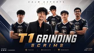 CALM GAMING BIG LOBBY  | RISING T1 TEAMS | CALM ESPORTS