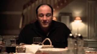 The Sopranos: Tony returns home after break up