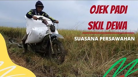 OJEK PADI SKILL DEWA...!