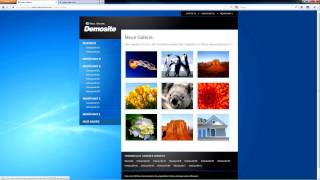 Fokus. Das Cms. - Galerie Erstellen