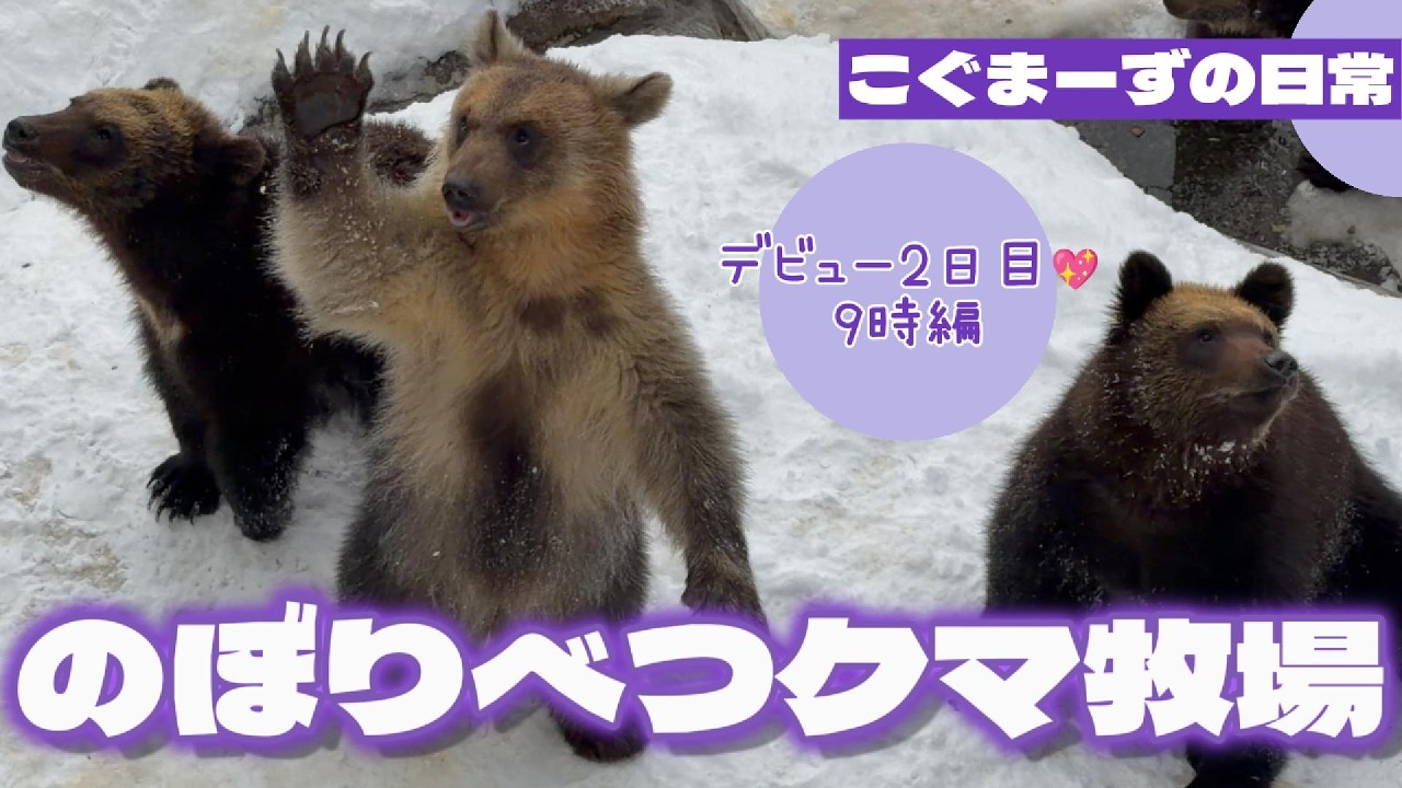 2026/02②] Kogumazu's Daily Life⭐︎ 9am on the 2nd day of debut