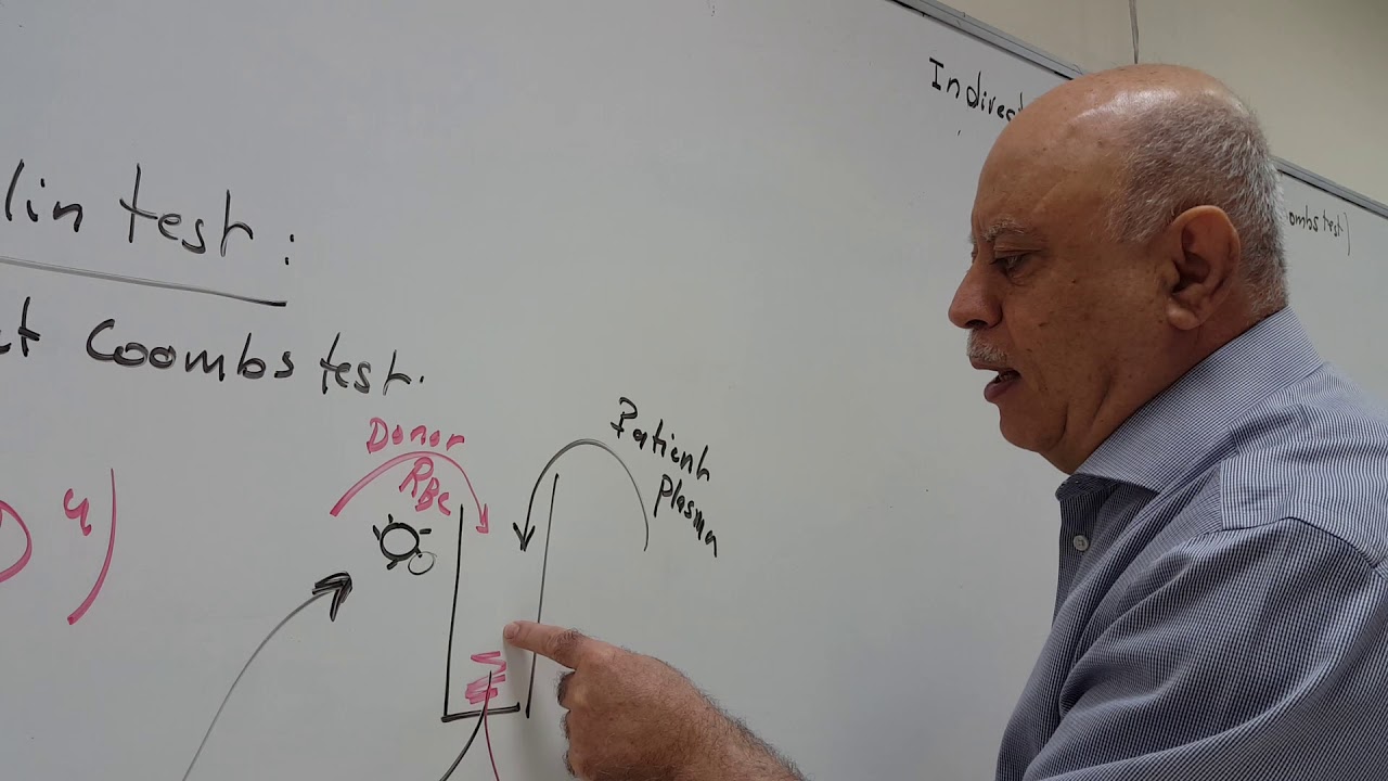 Blood Bank lab - Indirect AHG (Coombs test) - lab theory