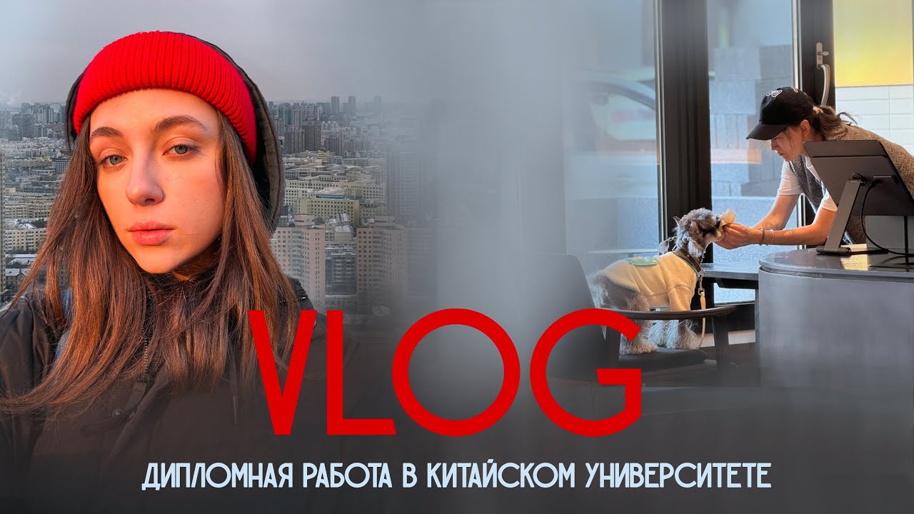 28 VLOG: пишу диплом в китайском университете/ день из жизни/ первый снег