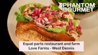 Love Farms - West Dennis