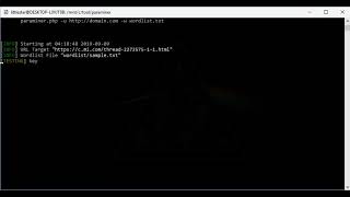 Paraminer: Finds hidden parameters #bugbountytips