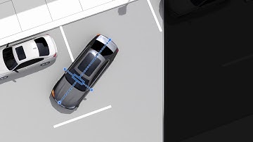 Surround View Camera with 3D View