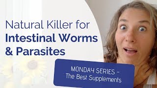 Best Supplement for Parasite Cleanse - This Natural Killer Gets Rid of Parasites & Intestinal Worms
