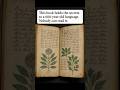 Unlocking the Secrets of a 600-Year-Old Unreadable Book 📜
