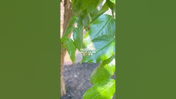 check desc!🌟 #preppy #aesthetic #fyp #grwm #viralshort #blowup #skincare #trending #shorts #view