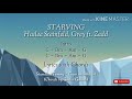Starving (Lyrics with Chords) - Hailee Steinfeld, Grey ft. Zedd