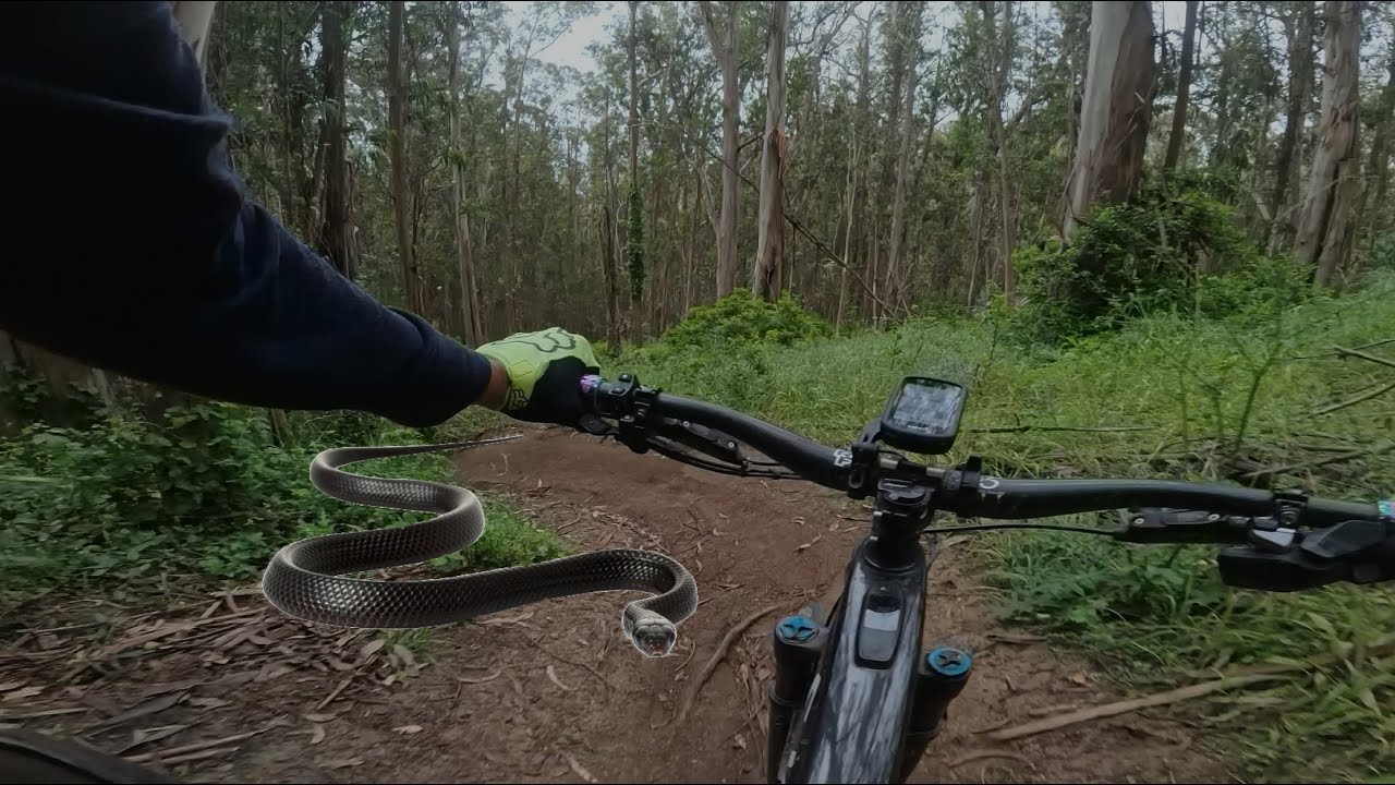 EL Granada - EG Bus to Black Mamba fun 