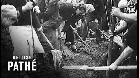 Quais os principais acontecimentos da guerra em 1941?