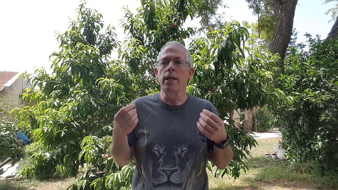 My Four Percent Challenge Journey