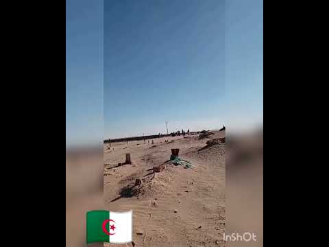 Shorts سيدي محمد السايح تقرت