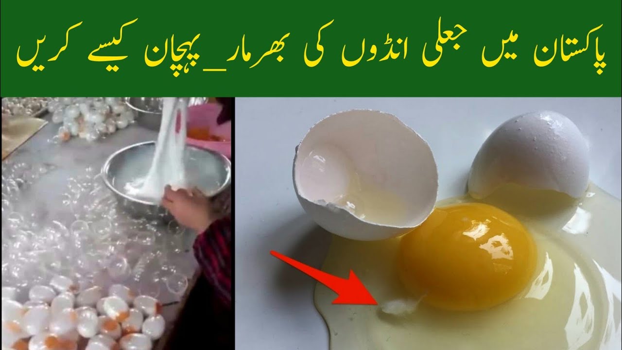 How to identify fake and real eggs Real eggs vs Fake eggs Chinese