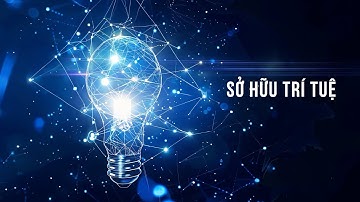 Thực hiện cam kết về sở hữu trí tuệ trong EVFTA   Thách thức và thích ứng