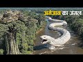 अमेजन जंगल के इन रहस्यों को देख साइंटिस्ट्स भी हुए हैरान | Amazon Rainforest | EP-2