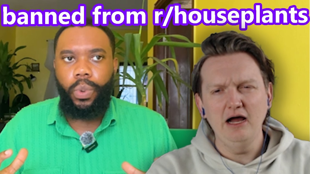 the house plant community has DRAMA