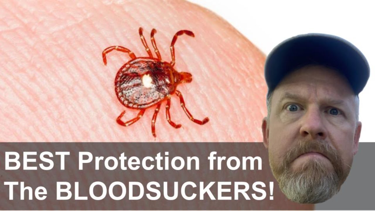 TICK-PROOF Your Adventures - Absolute BEST Tick Defense TACTIC! - YouTube