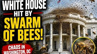 White House Hit by Massive Swarm of Bees (2nd Try) Net Worth