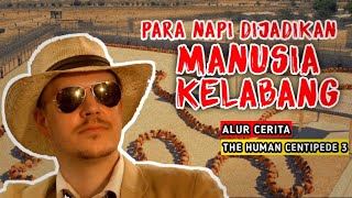 KETIKA SEBUAH PENJARA DI JAGA OLEH PSIKOP4T SADIS ‼️ ALUR CERITA FILM THE HUMAN CENTIPEDE 3