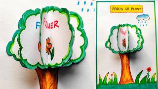 Parts of Plant model for project easy | Different parts of Plant model idea | Parts of Plant Model