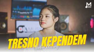 Tresno Kependem - Ardia Diwang (Official Music Video)