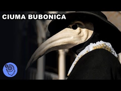 Cum Arata o Zi Obisnuita Pe Vremea Ciumei