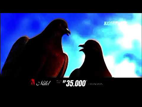 Iklan #Rokok Sampoerna A Mild Classic + CitySpcape + The Birds (2026) Full Version
