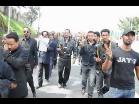 Artists Journalists pay respect to Ethiopian PM