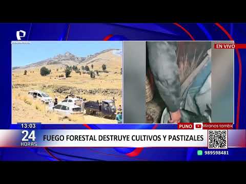 Puno: Forest fires affect over a thousand hectares of grasslands and leave homes damaged