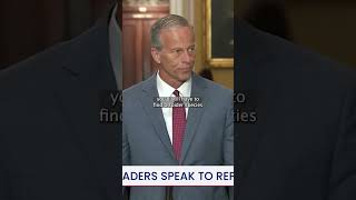 Senate Majority Leader John Thune on spider taxis 🕷️ #cheapfake