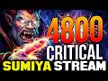 Almost 5000 Critical Damage Meme Lion