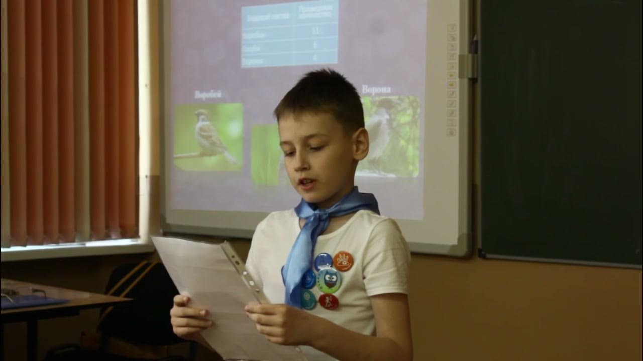 Орленок эколог занятия. Орленок эколог. орленок эколог орлята россии. трек орлёнок эколог 2-3занятие. орленок эколог фотоотчет.