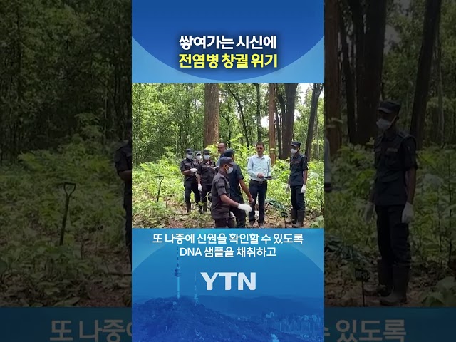 "시신들 절반 이상이…" #shorts / YTN