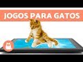 JOGOS PARA GATOS: ratos na tela