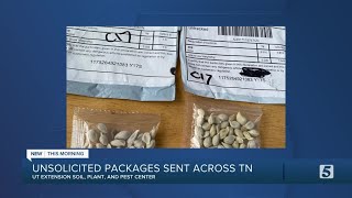 Tennessee ag experts issue warning of ‘non-inspected’ seed packets from China