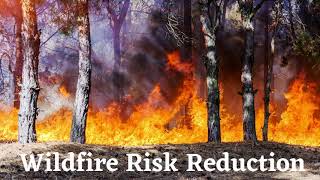 SLCFD~ Wildfire Risk Reduction