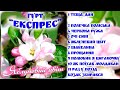 Веселі Українські Пісні. гурт Експрес та Володимир Іжицький - Яблуневий цвіт [АЛЬБОМ]