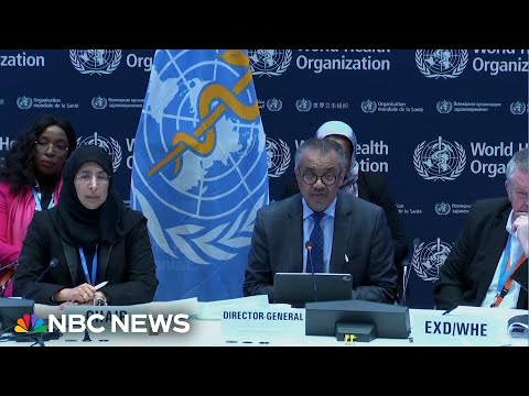 Who executive board calls for immediate humanitarian relief in gaza