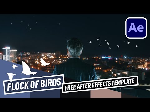 BIRDS RIG — Free After Effects Template