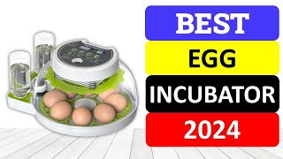 Top 10 Best Egg Incubator in 2024