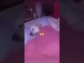 نام الحين و بكرا خير