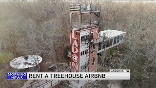 Rent a Treehouse Airbnb