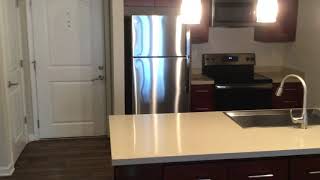Belmont Apt#301
