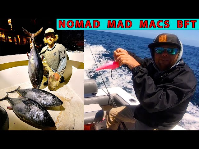 Bluefin Tuna Fishing Dreams Pt 2  High Speed Trolling Nomad Mad